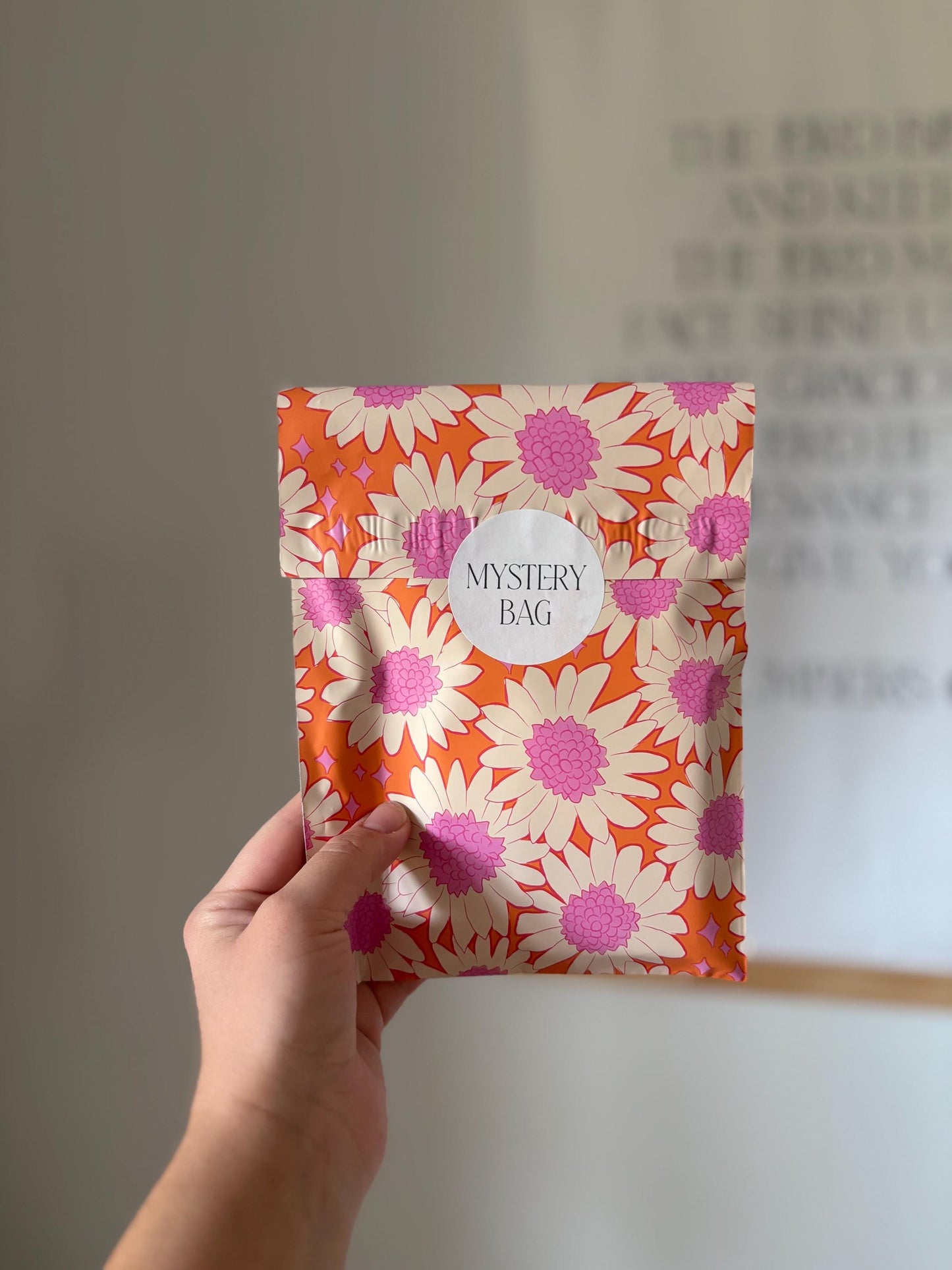 Ladies’ Christian Mystery Grab Bag