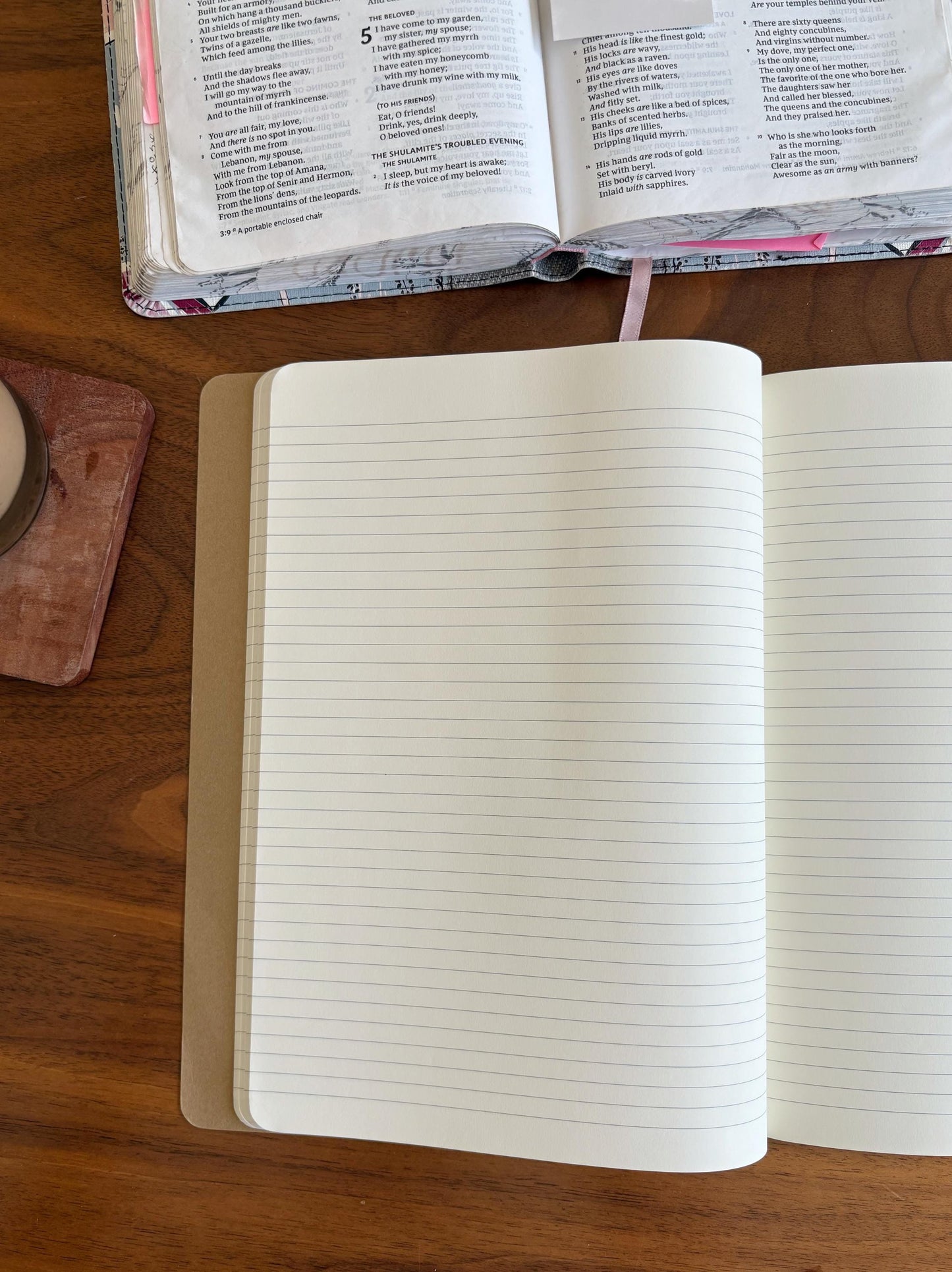 Hand Painted Notebook Journal - Painted journals, painted notebooks, floral journals, moleskine journals, flowers